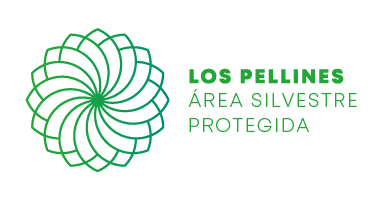 Los Pellines